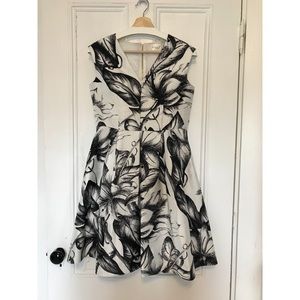 Eliza J Floral Black/White Fit & Flare Dress Sz 6